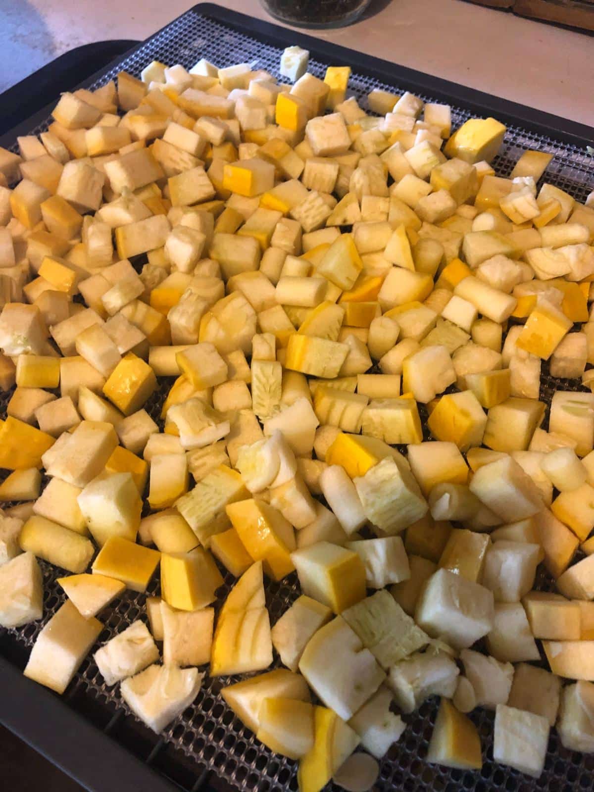 Diced summer squash for drying