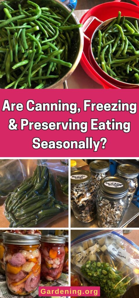 Are Canning, Freezing & Preserving Eating Seasonally? pinterest image