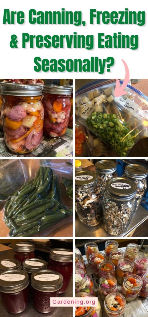 Are Canning, Freezing & Preserving Eating Seasonally? pinterest image