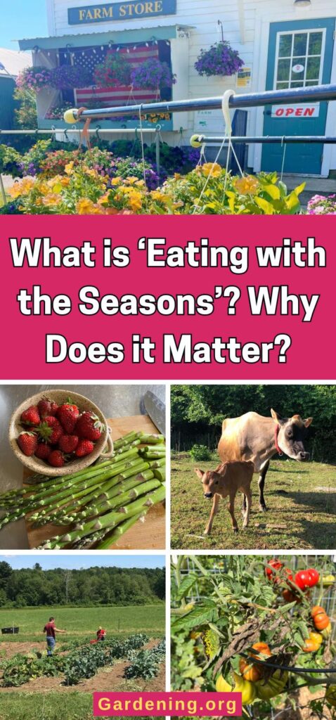 What is ‘Eating with the Seasons’? Why Does it Matter? pinterest image