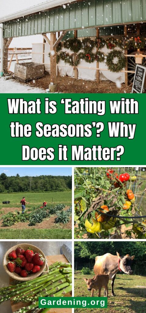 What is ‘Eating with the Seasons’? Why Does it Matter? pinterest image