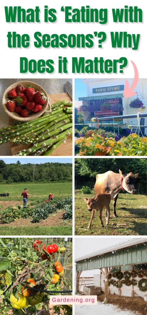 What is ‘Eating with the Seasons’? Why Does it Matter? pinterest image