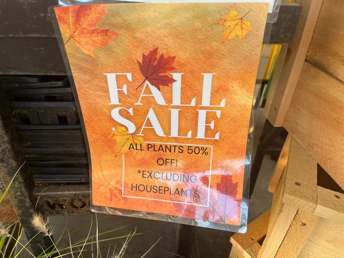 50% off late fall garden center clearance sale