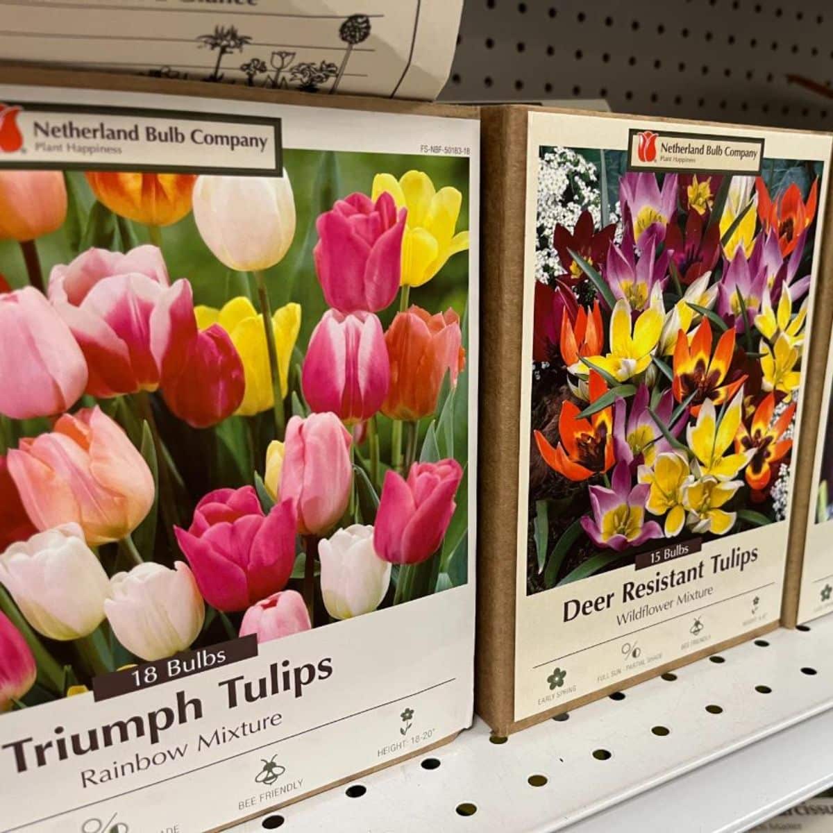 Flower bulb packages on a shelf.