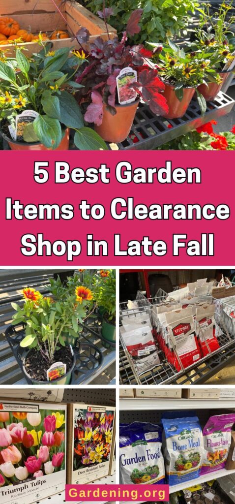 5 Best Garden Items to Clearance Shop in Late Fall pinterest image