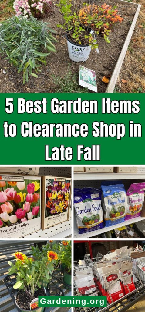 5 Best Garden Items to Clearance Shop in Late Fall pinterest image