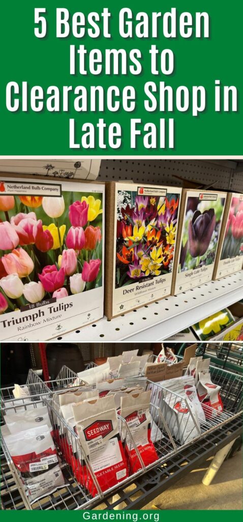 5 Best Garden Items to Clearance Shop in Late Fall pinterest image