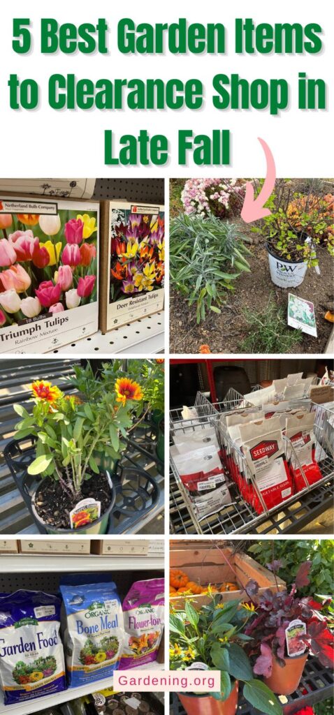 5 Best Garden Items to Clearance Shop in Late Fall pinterest image