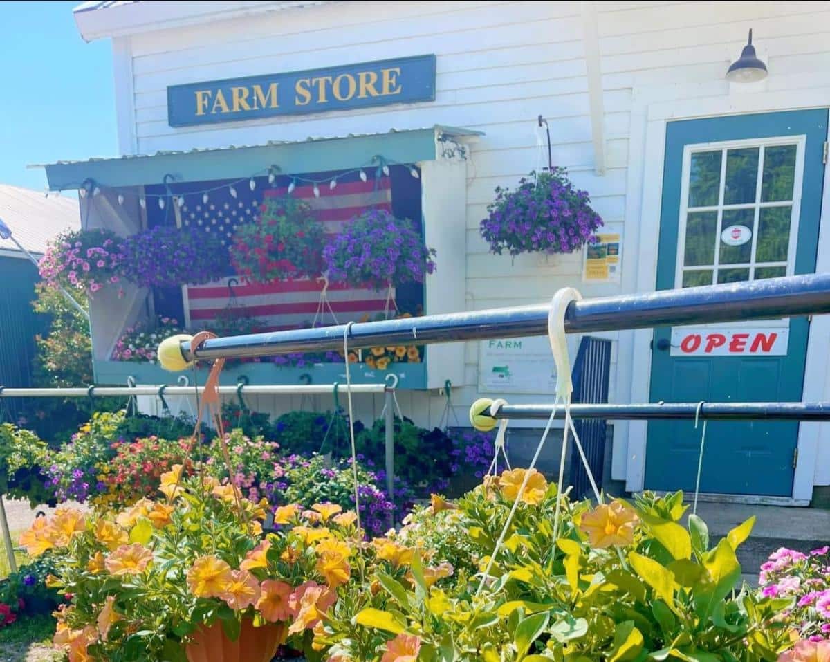 Local farm store with seasonal offerings