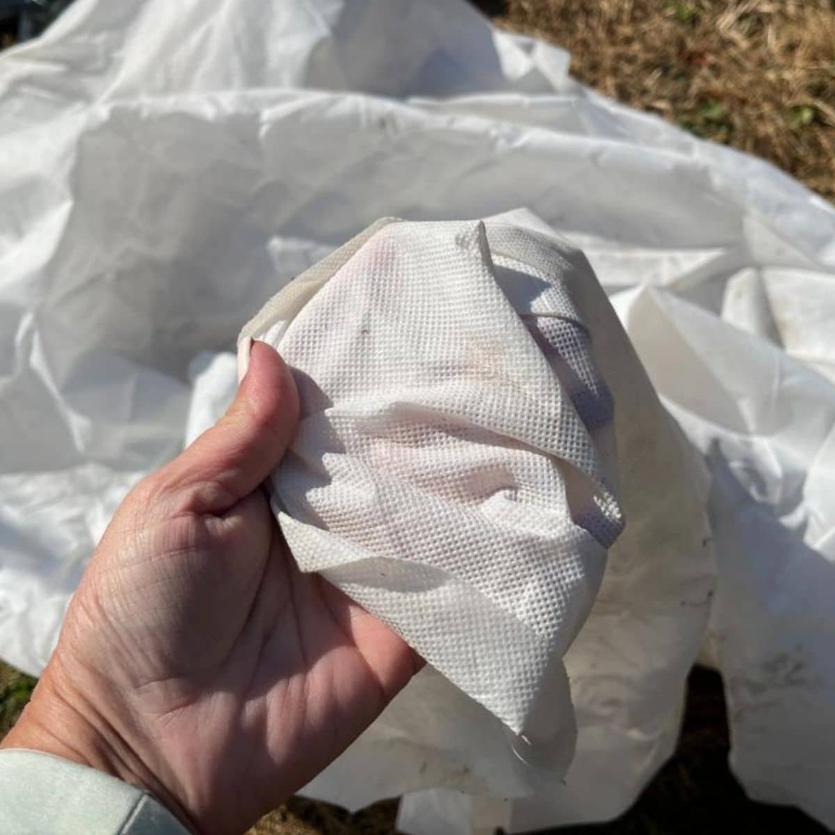 A gardener is holding a garden frost fabric.