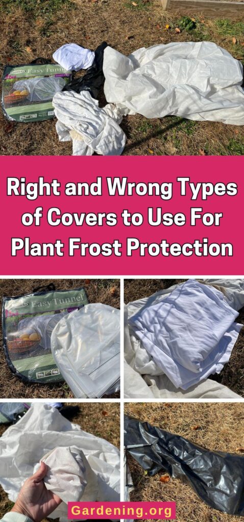 Right and Wrong Types of Covers to Use For Plant Frost Protection pinterest image