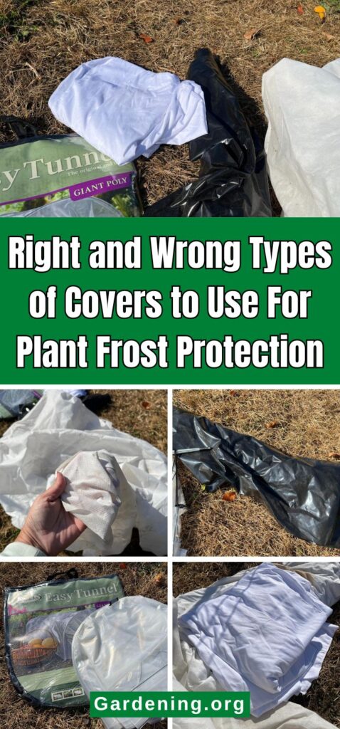 Right and Wrong Types of Covers to Use For Plant Frost Protection pinterest image