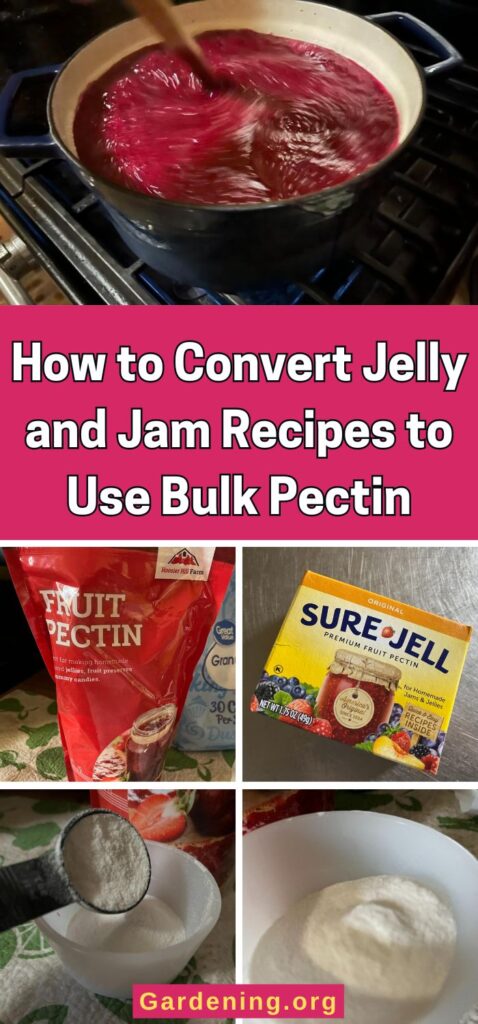 How to Convert Jelly and Jam Recipes to Use Bulk Pectin pinterest image