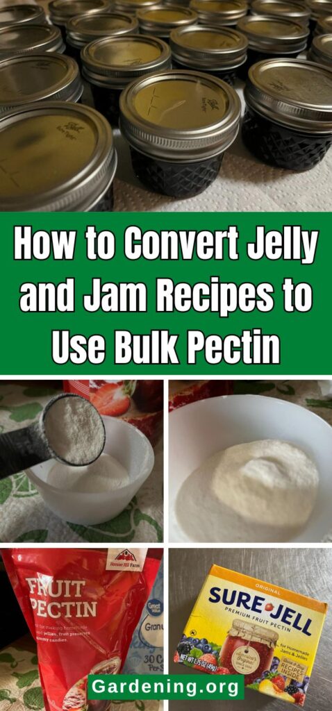 How to Convert Jelly and Jam Recipes to Use Bulk Pectin pinterest image