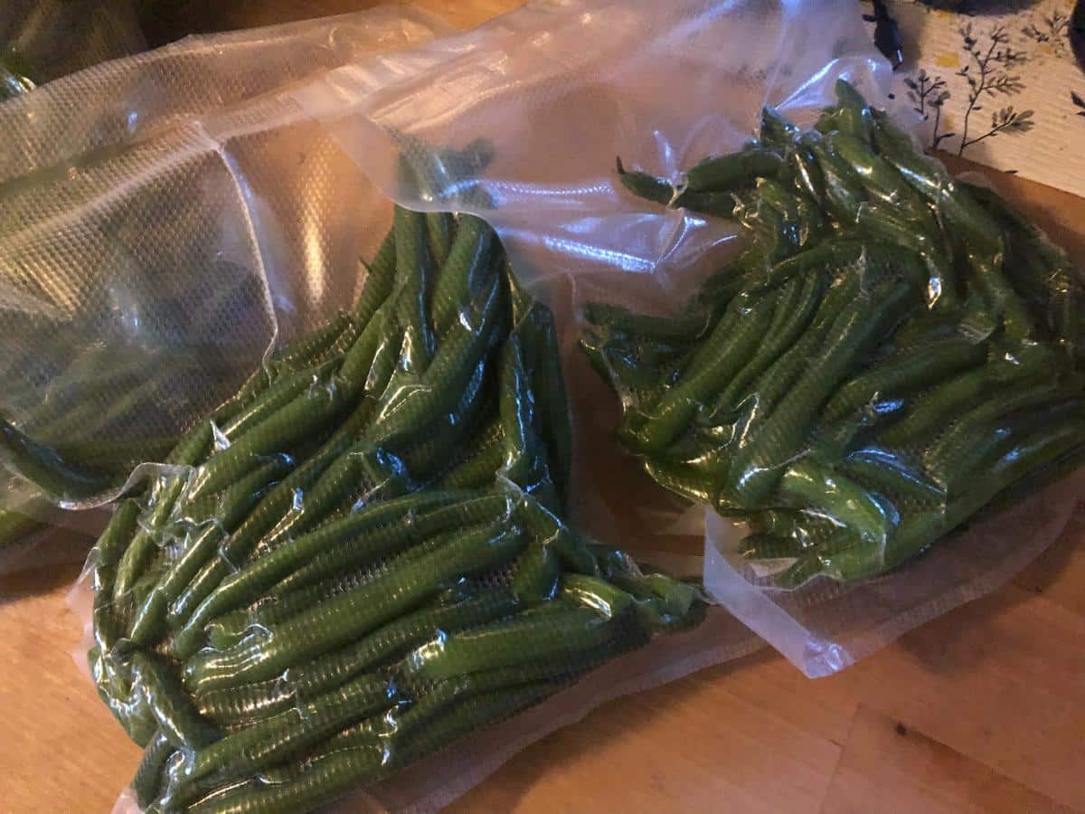 Green beans packaged for the freezer