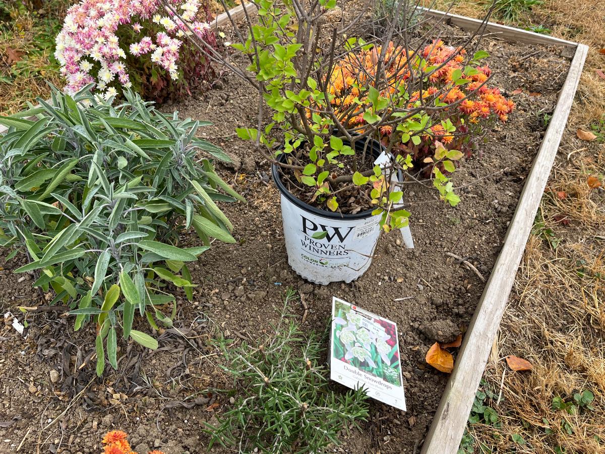 Sale items from garden clearance in fall