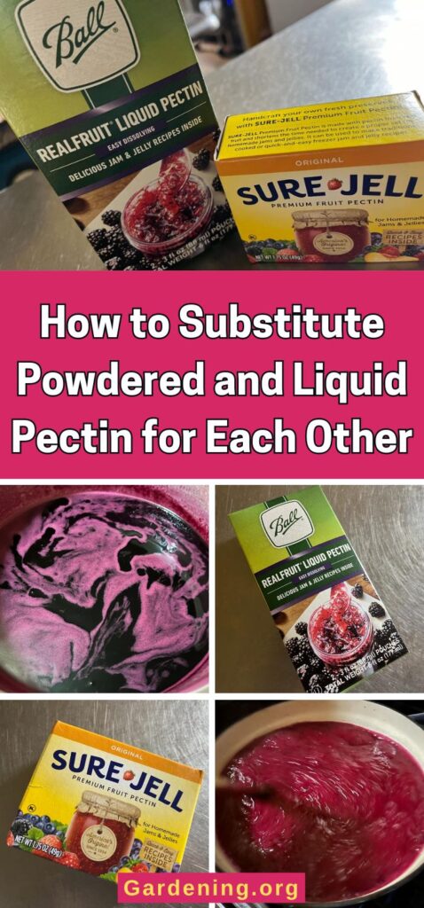 How to Substitute Powdered and Liquid Pectin for Each Other pinterest image