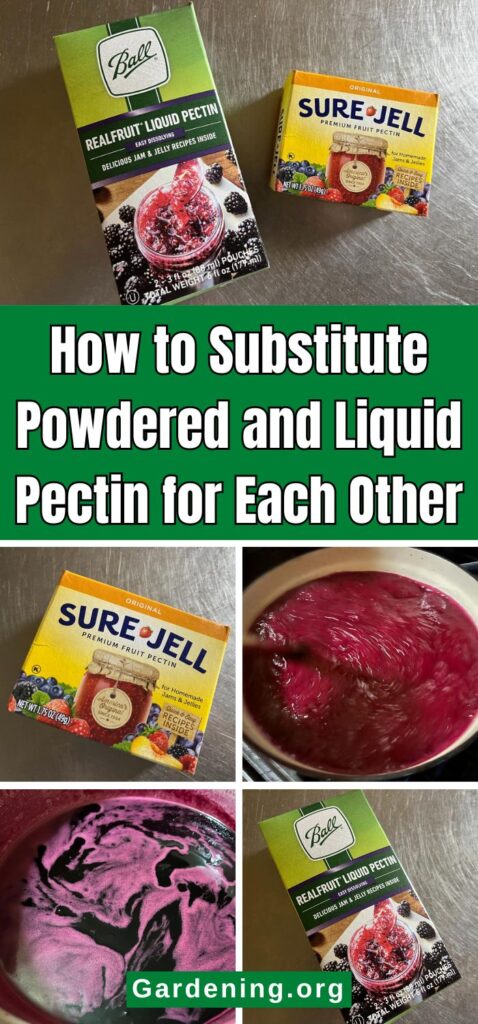 How to Substitute Powdered and Liquid Pectin for Each Other pinterest image