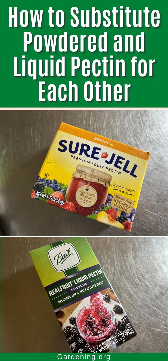 How to Substitute Powdered and Liquid Pectin for Each Other - Gardening