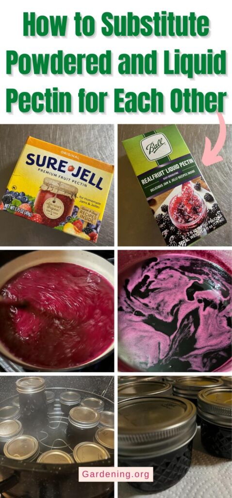 How to Substitute Powdered and Liquid Pectin for Each Other pinterest image