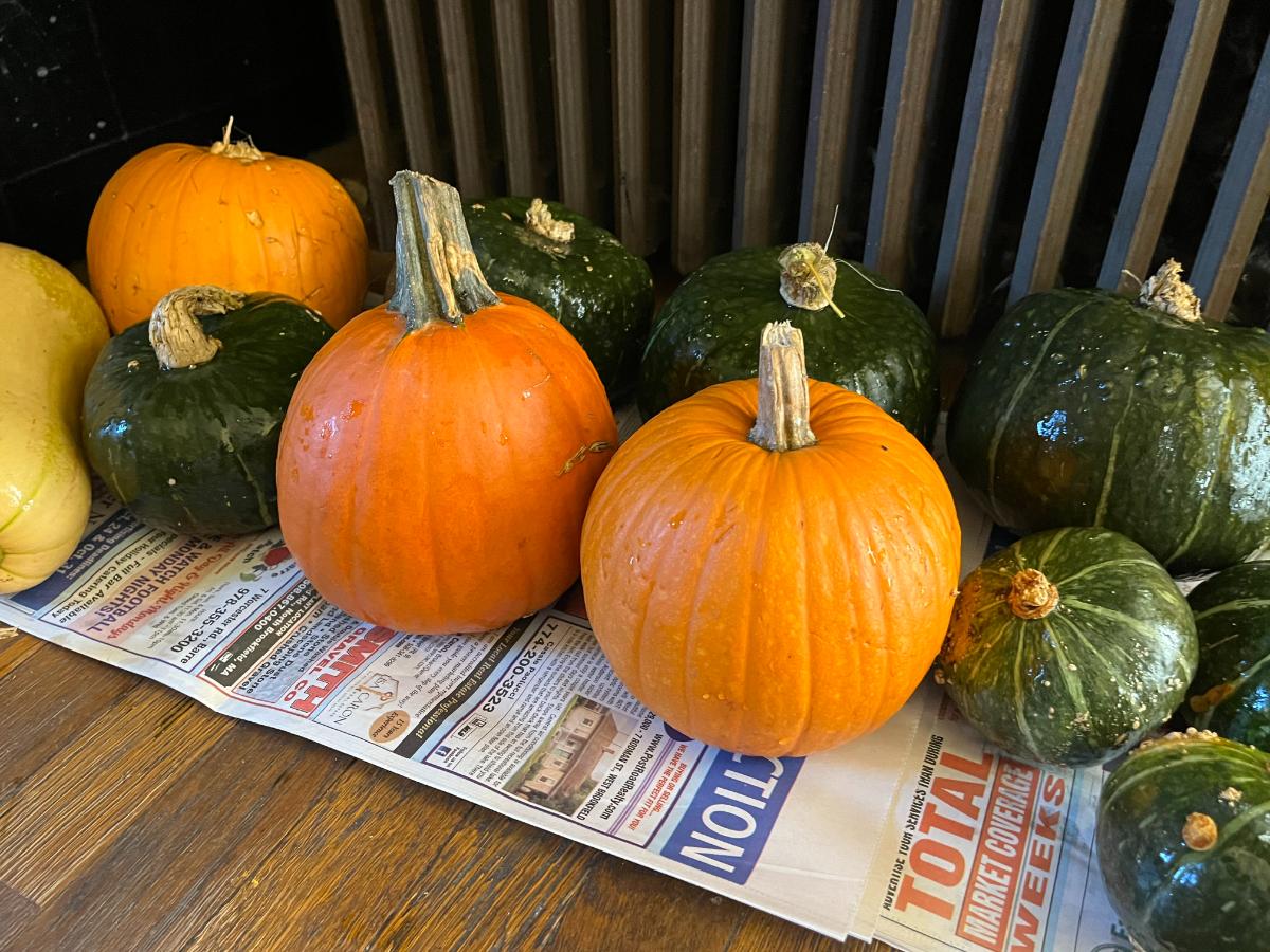 Hardening squash and pumpkins skins for storage