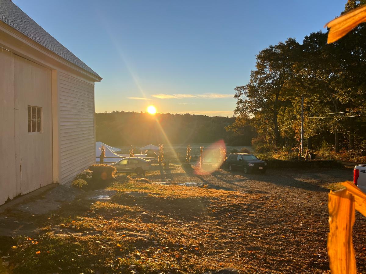 Sun rising on a frosty morning with light frost on windshields