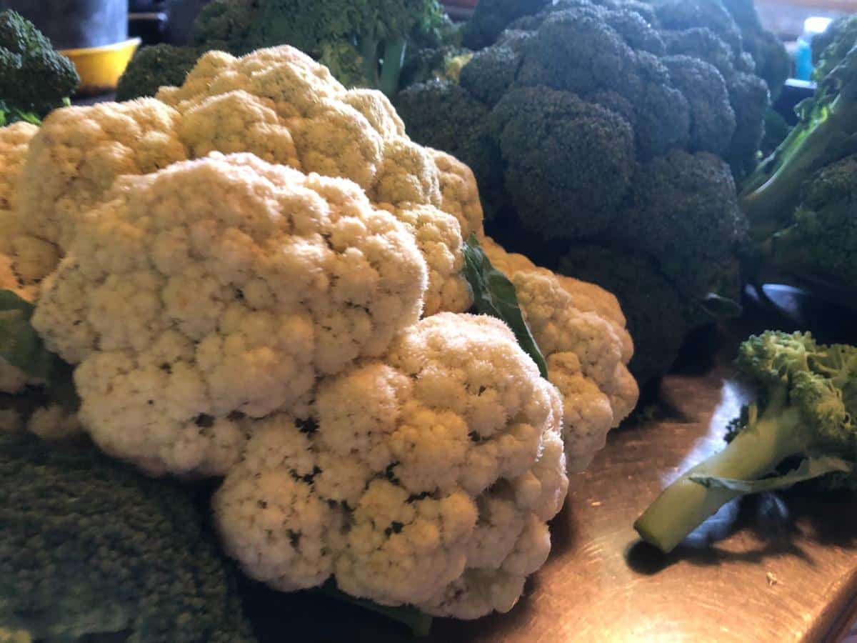 Homegrown local cauliflower and broccoli