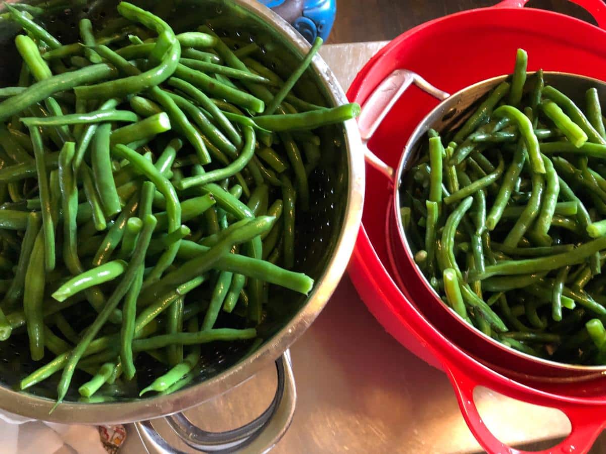 Green beans blanched for freezing