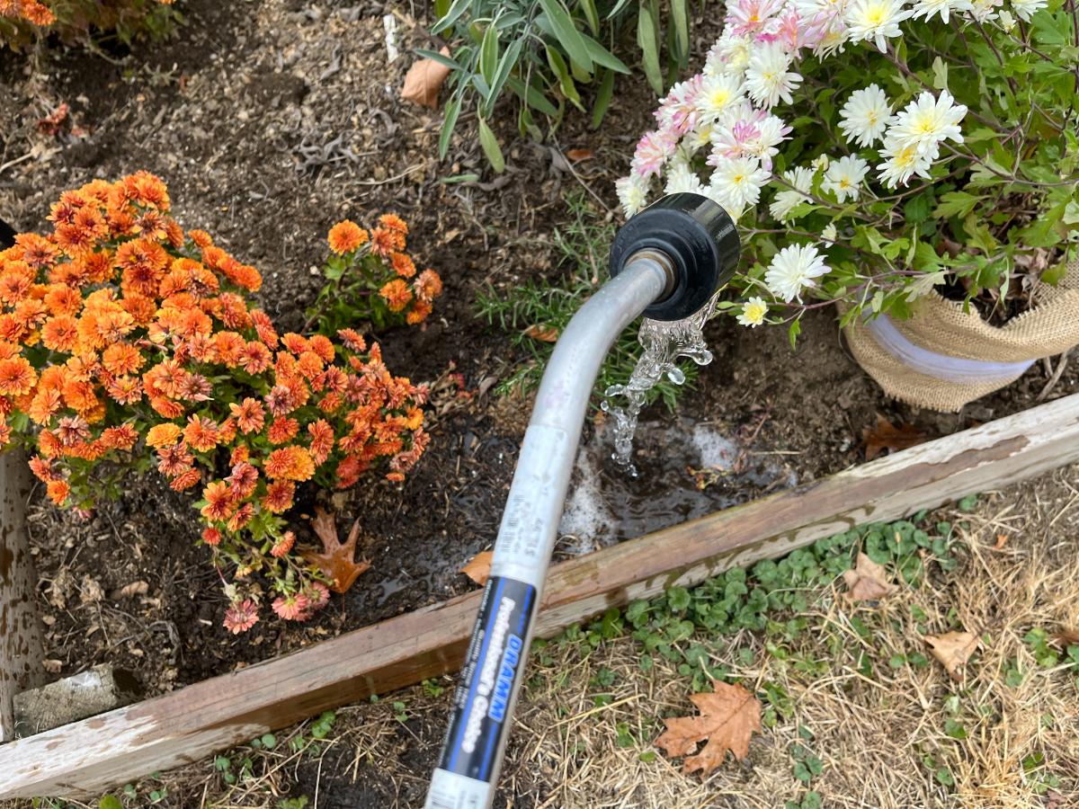 Watering a raised bed ahead of a frost