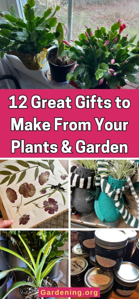 12 Great Gifts to Make From Your Plants & Garden pinterest image