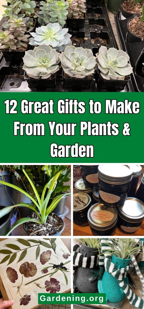 12 Great Gifts to Make From Your Plants & Garden pinterest image