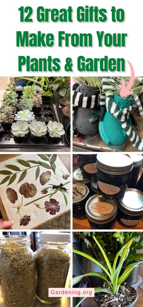 12 Great Gifts to Make From Your Plants & Garden pinterest image