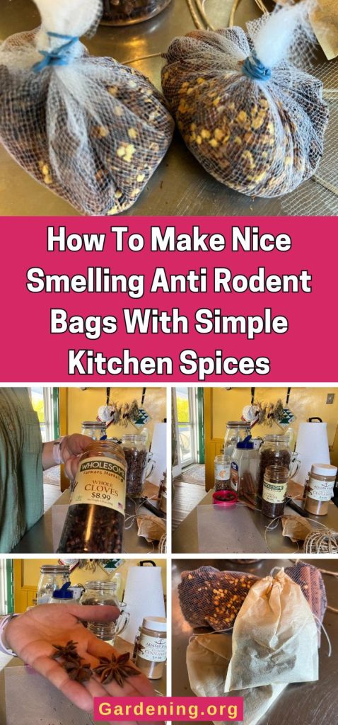 How To Make Nice Smelling Anti Rodent Bags With Simple Kitchen Spices pinterest image