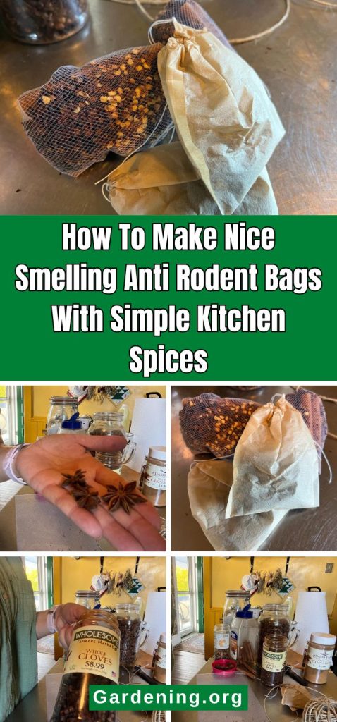 How To Make Nice Smelling Anti Rodent Bags With Simple Kitchen Spices pinterest image