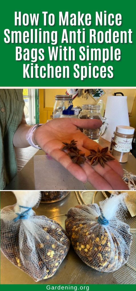 How To Make Nice Smelling Anti Rodent Bags With Simple Kitchen Spices pinterest image