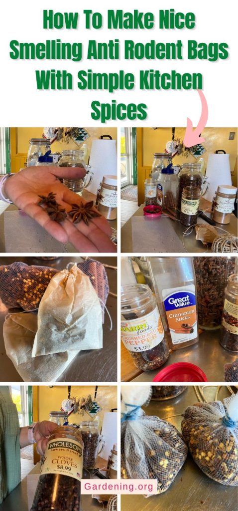 How To Make Nice Smelling Anti Rodent Bags With Simple Kitchen Spices pinterest image