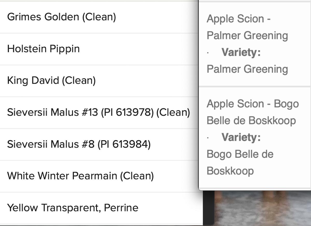 List of apple scions