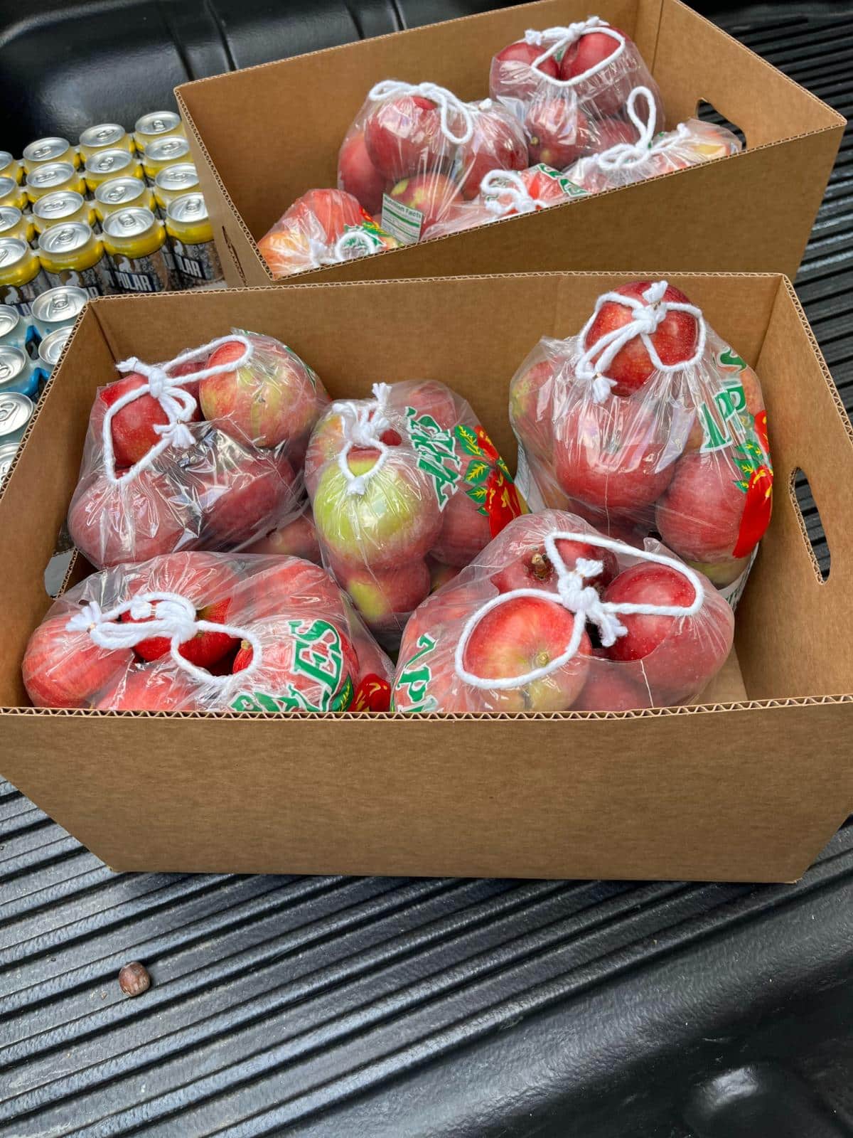 Local "seconds" apples from an orchard