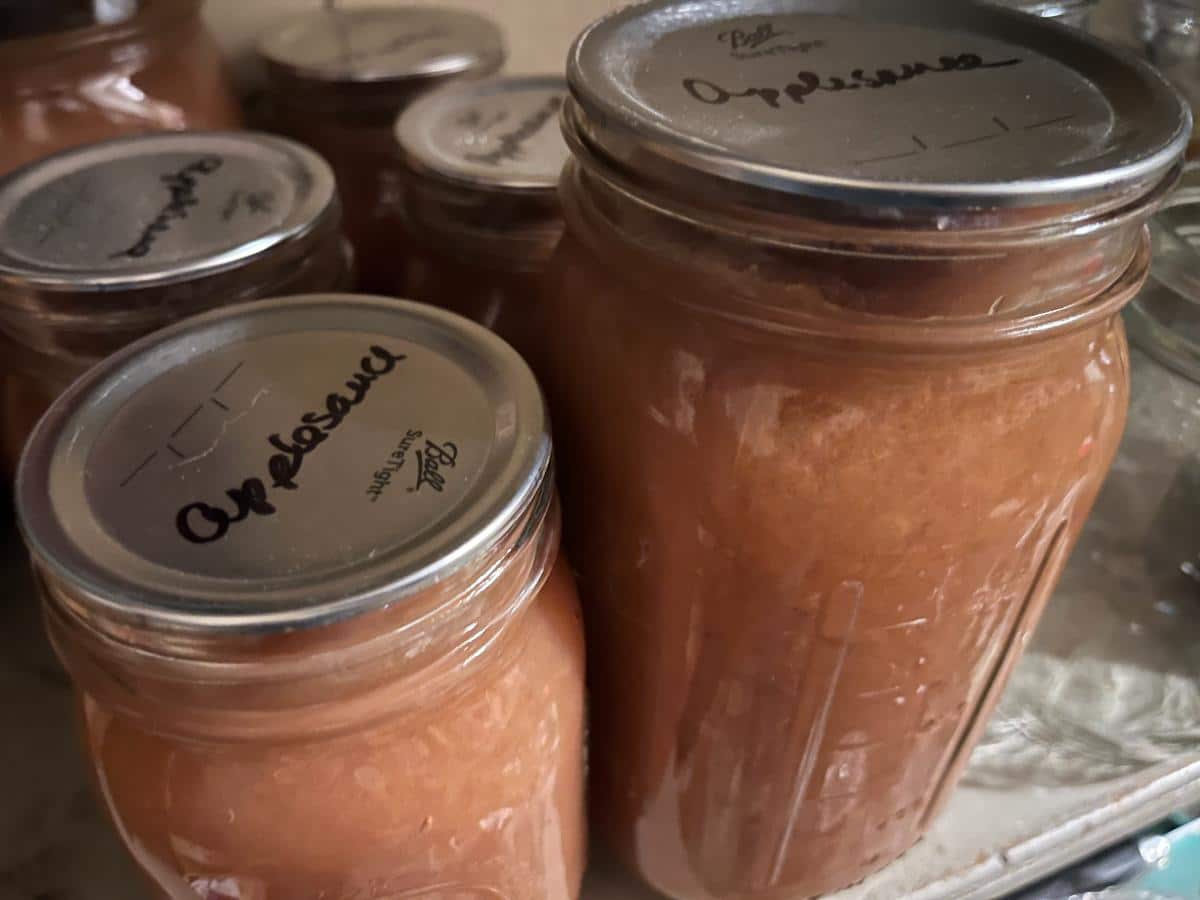 Canned homemade applesauce