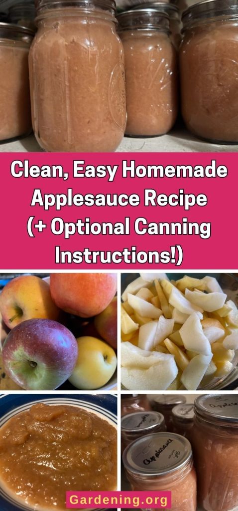 Clean, Easy Homemade Applesauce Recipe (+ Optional Canning Instructions!) pinterest image