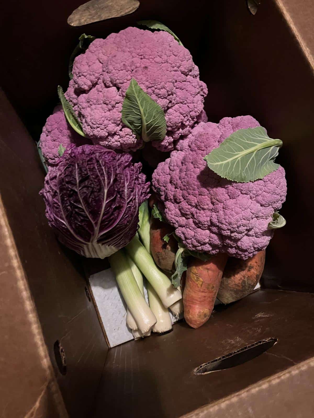 Box of fresh vegetables 