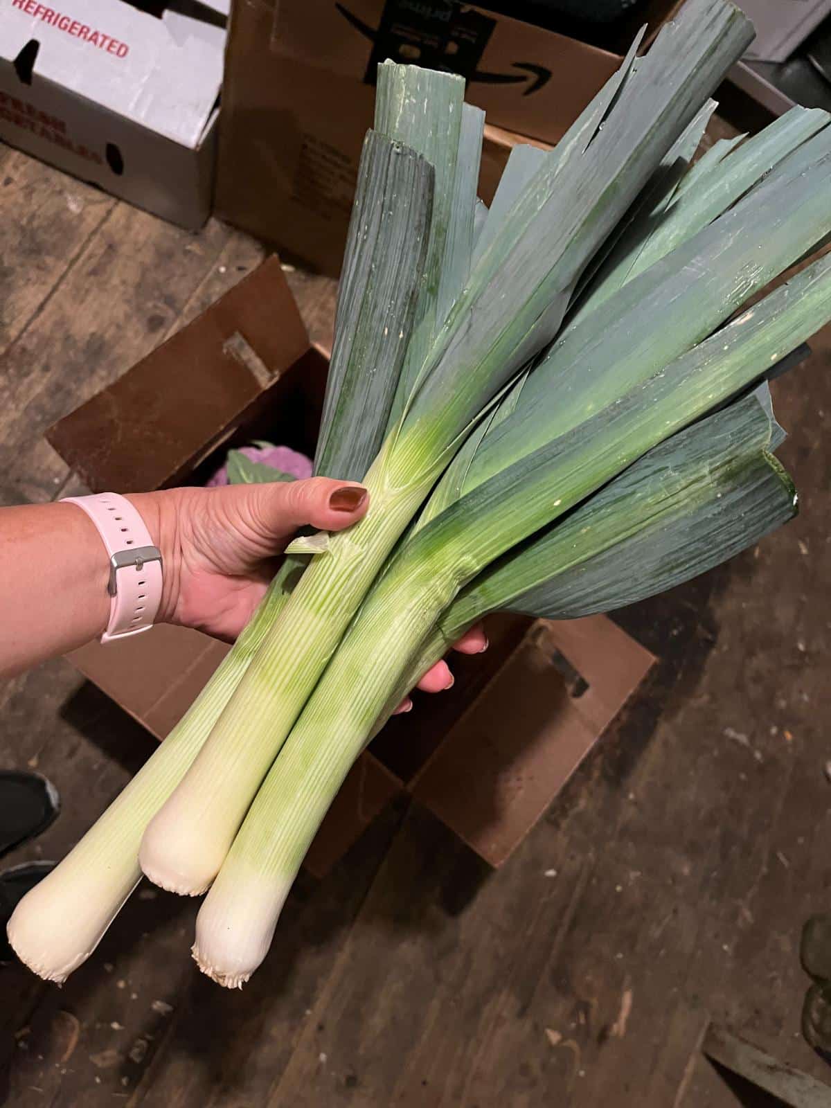 Fresh leeks for making stock