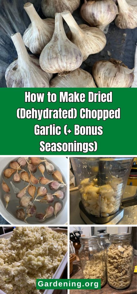 How to Make Dried (Dehydrated) Chopped Garlic (+ Bonus Seasonings) pinterest image