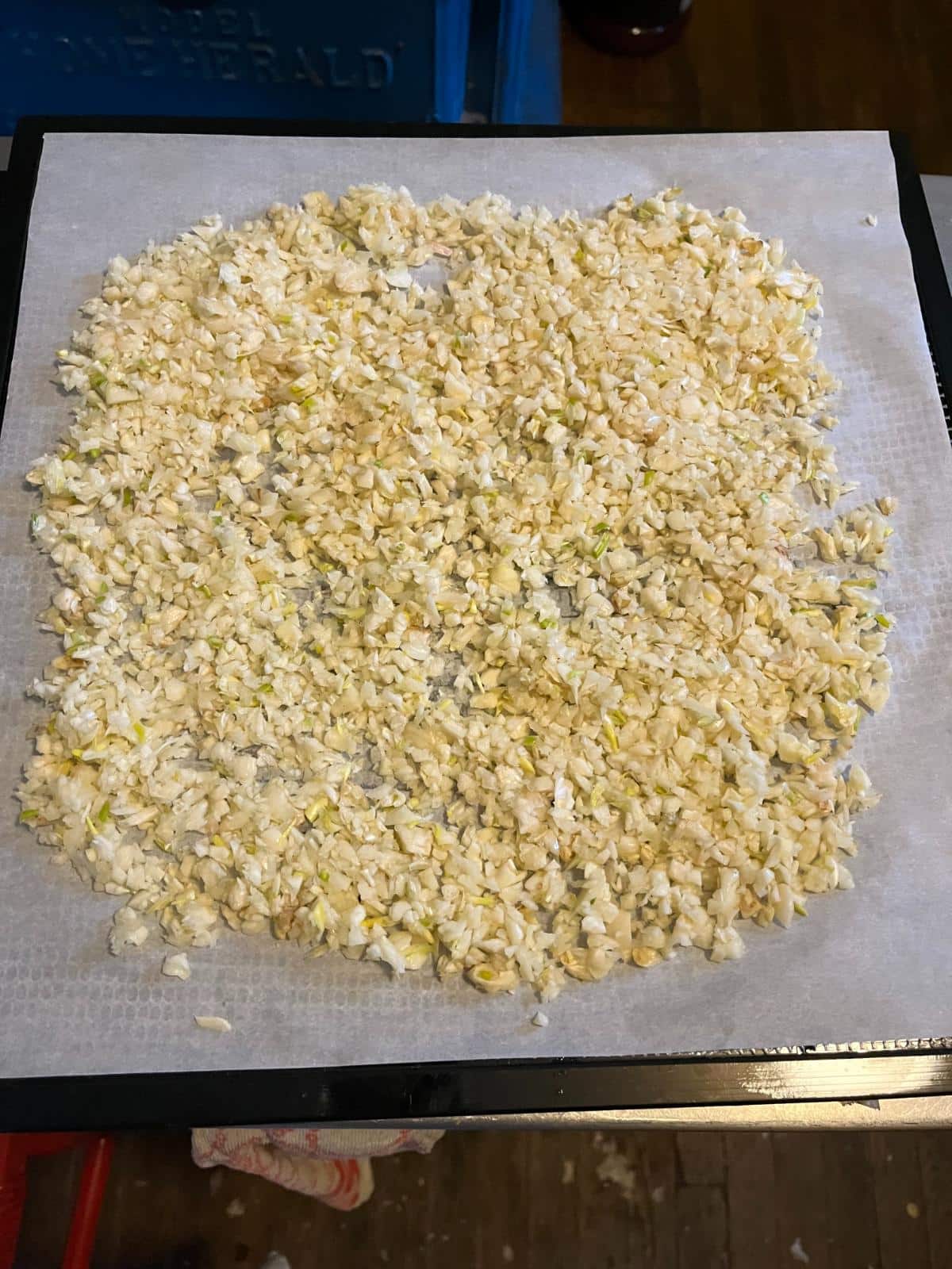 Garlic spread out for dehydrating