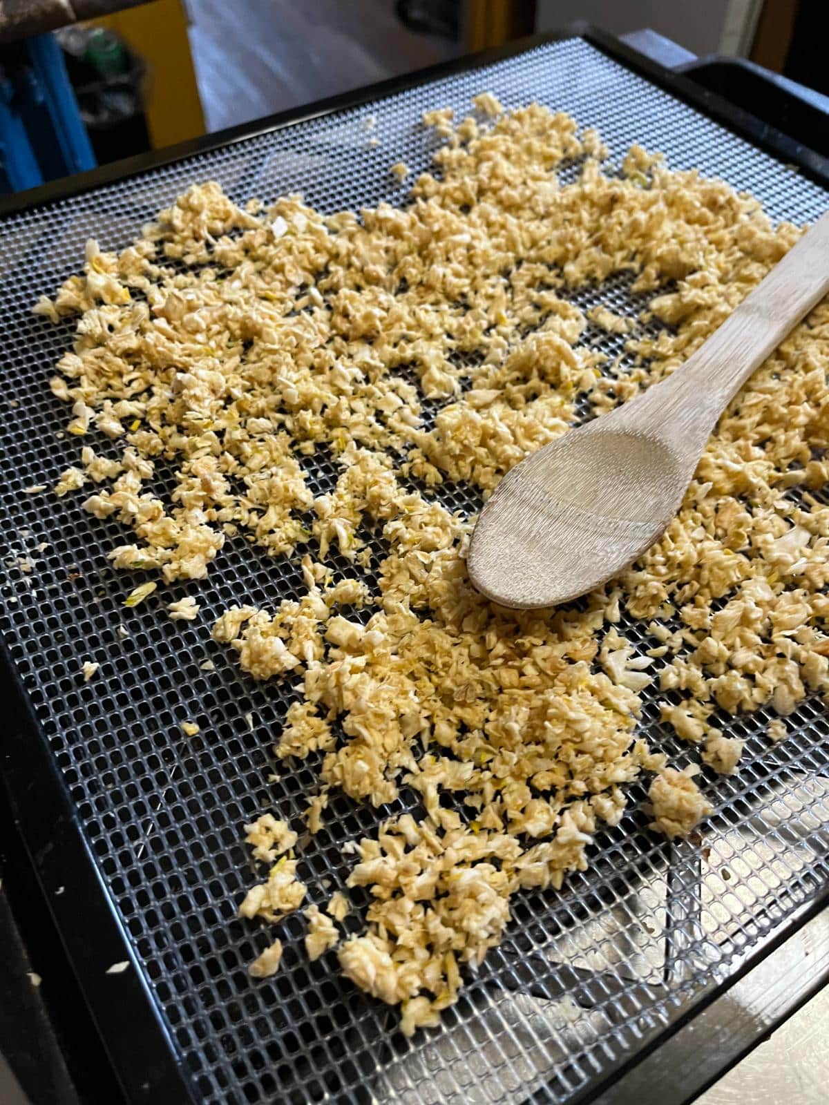 Dried Garlic on mesh tray liners