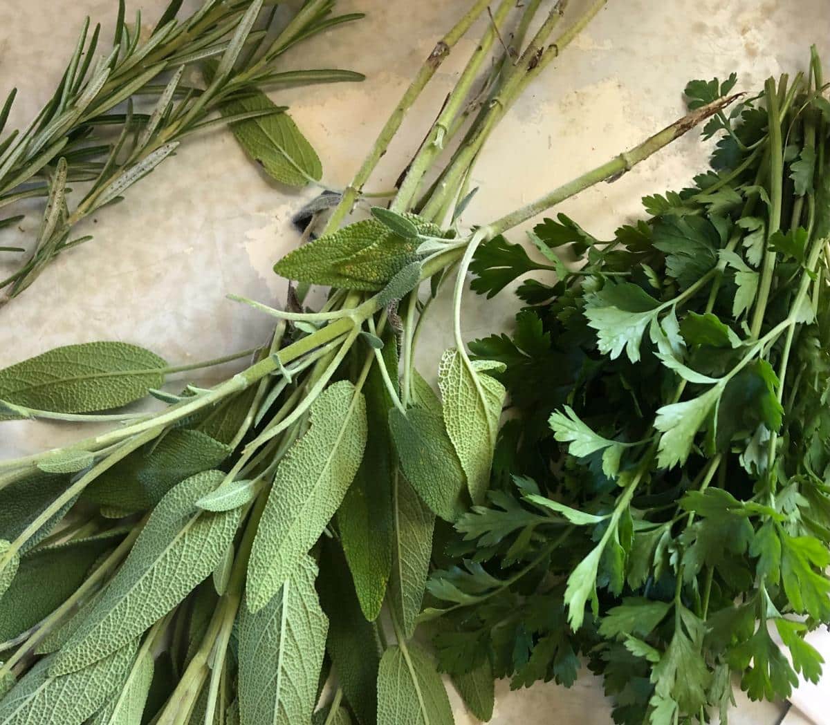 Bundles of herbs for drying