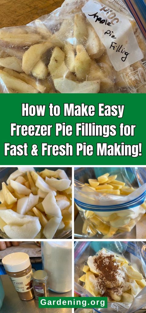 How to Make Easy Freezer Pie Fillings for Fast & Fresh Pie Making! pinterest image