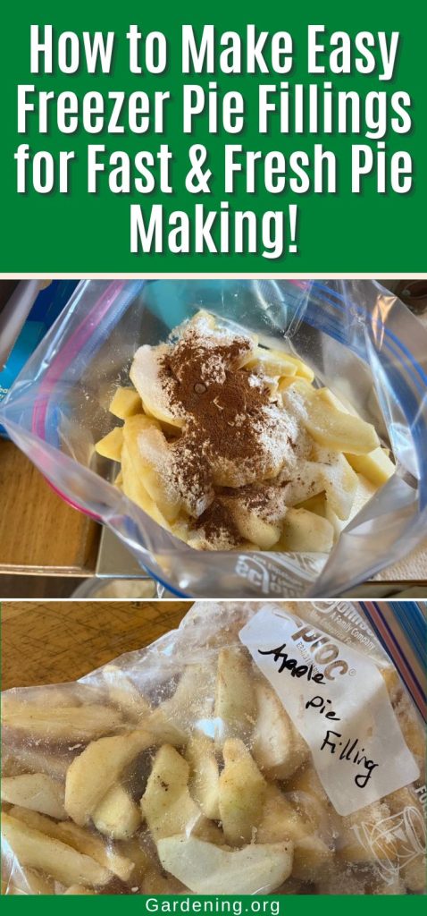 How to Make Easy Freezer Pie Fillings for Fast & Fresh Pie Making! pinterest image