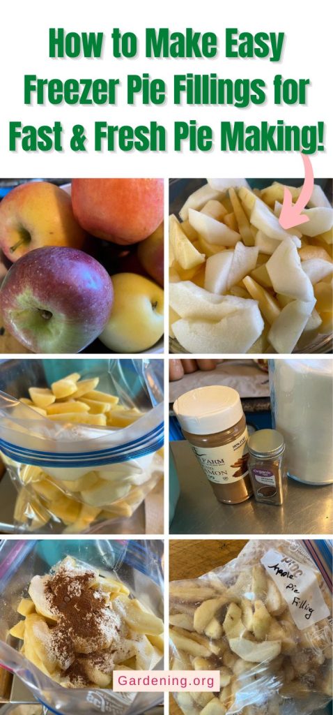 How to Make Easy Freezer Pie Fillings for Fast & Fresh Pie Making! pinterest image