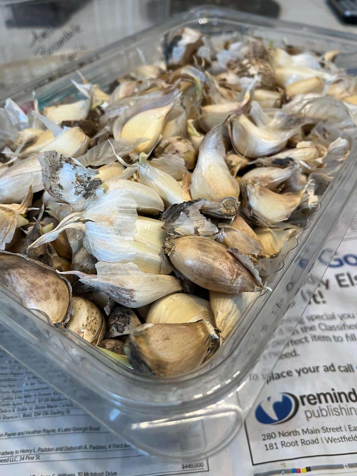 Separated garlic cloves for drying